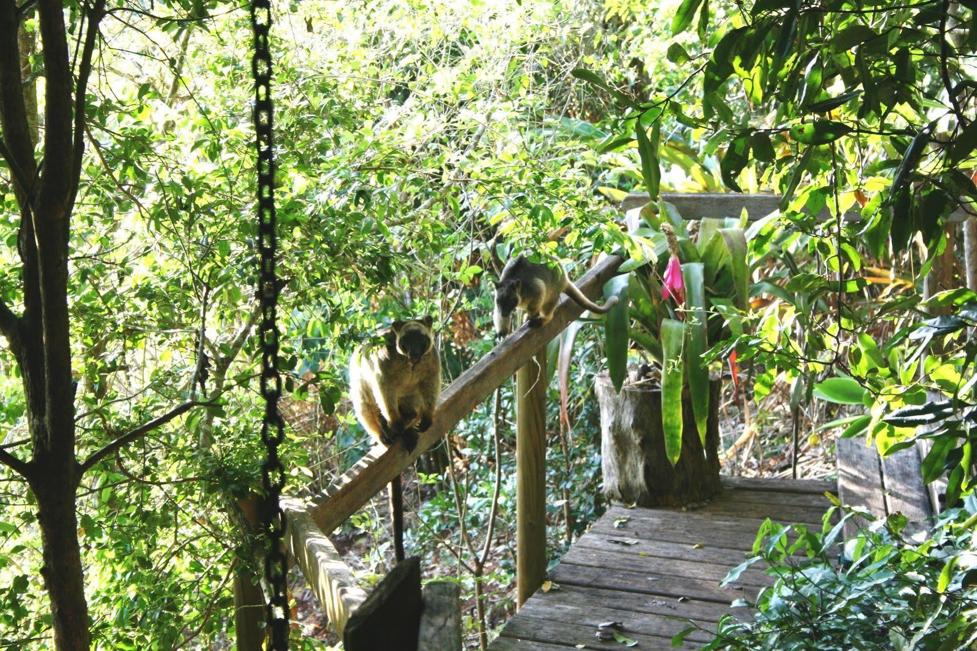 Mt Quincan Crater Retreat Lodge